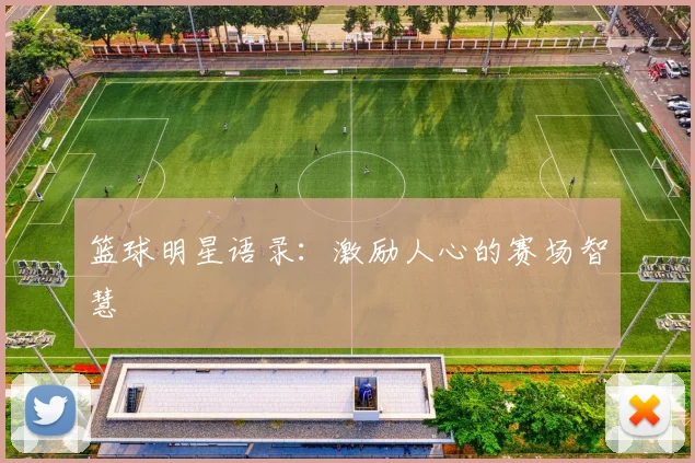 篮球明星语录：激励人心的赛场智慧