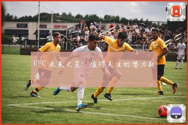 UFC 未来之星：值得关注的潜力新秀