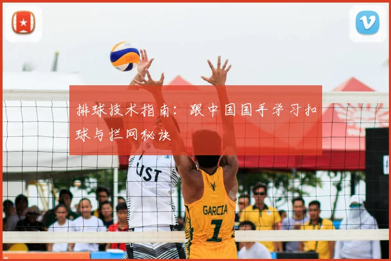 排球技术指南：跟中国国手学习扣球与拦网秘诀