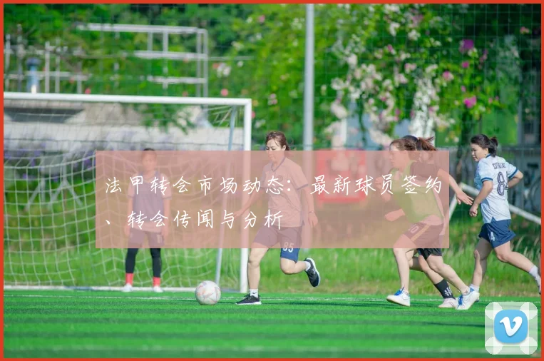 法甲转会市场动态：最新球员签约、转会传闻与分析
