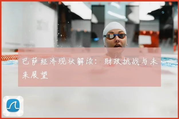 巴萨经济现状解读：财政挑战与未来展望