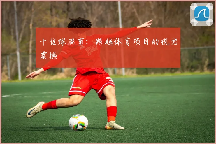 十佳球混剪：跨越体育项目的视觉震撼